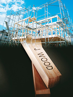 JWOOD LVL