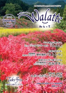 「Walatte Vol.11」最新号！！ 