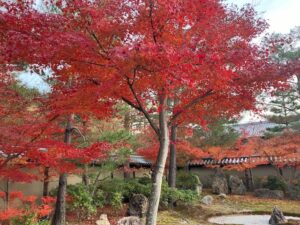 紅葉名所　東山高台寺 