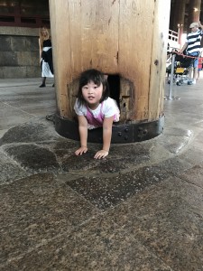 IMG_6690