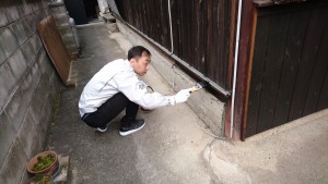 新しい仲間 