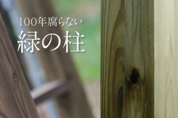 【緑の柱】構造見学会＠草津木川